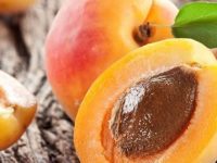 10 incríveis benefícios da fruta damasco para a saúde