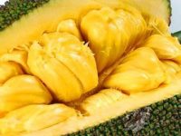 7 incríveis benefícios da jaca para a saúde