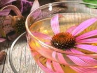 8 incríveis remédios caseiros para tratar a erisipela