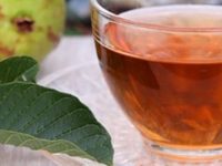 12 incríveis benefícios do chá de folha de goiaba para saúde
