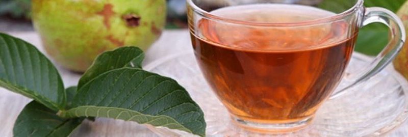 12 incríveis benefícios do chá de folha de goiaba para saúde