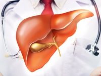 5 maneiras eficazes de melhorar a função do fígado naturalmente