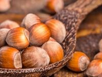 7 importantes benefícios da avelã para a nossa saúde