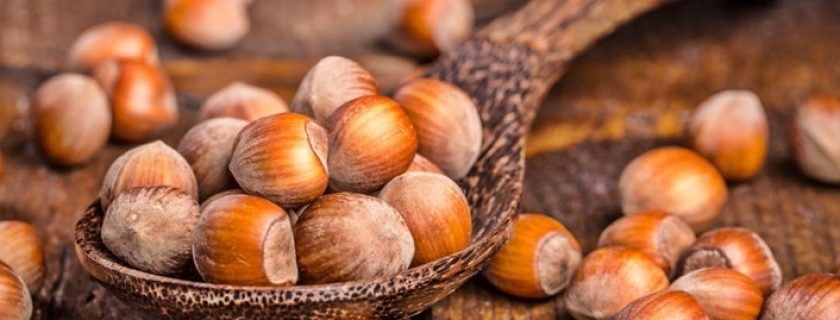 7 importantes benefícios da avelã para a nossa saúde