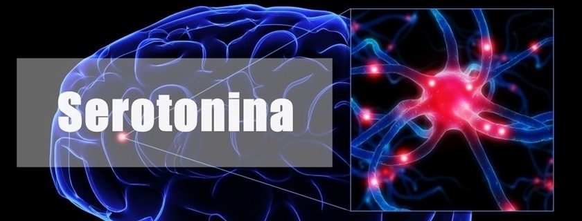 Saiba o que é serotonina e quais suas funções em nosso corpo