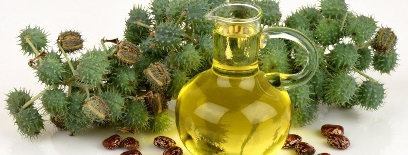 Benefícios e formas de usar o óleo de rícino na pele, cabelo e sobrancelha