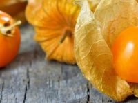 Os incríveis benefícios da physalis para a saúde e receitas com a fruta