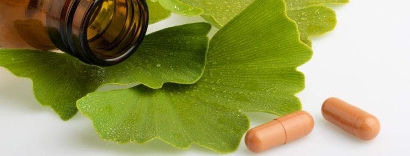 Para que serve o ginkgo biloba e quais seus benefícios para a saúde