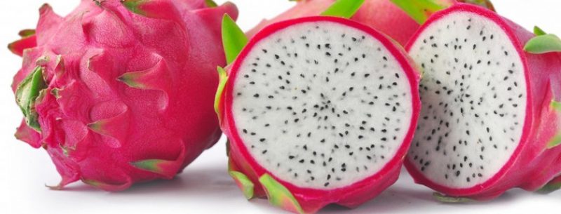 Benefícios da Pitaya, a fruta com incríveis propriedades para emagrecer