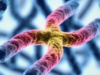 O que é a Síndrome de Turner, quais seus sintomas e tratamento