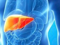 O que é hepatite, quais seus tipos, sintomas e tratamentos