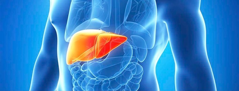 O que é hepatite, quais seus tipos, sintomas e tratamentos