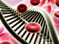 O que é anemia falciforme, quais seus sintomas e tratamentos
