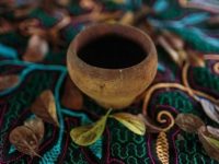 O que é ayahuasca e quais seus efeitos colaterais