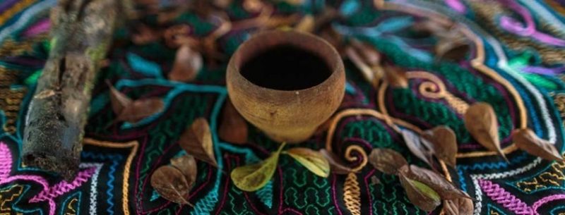 O que é ayahuasca e quais seus efeitos colaterais