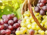 Usos, receitas e benefícios da uva para a nossa saúde