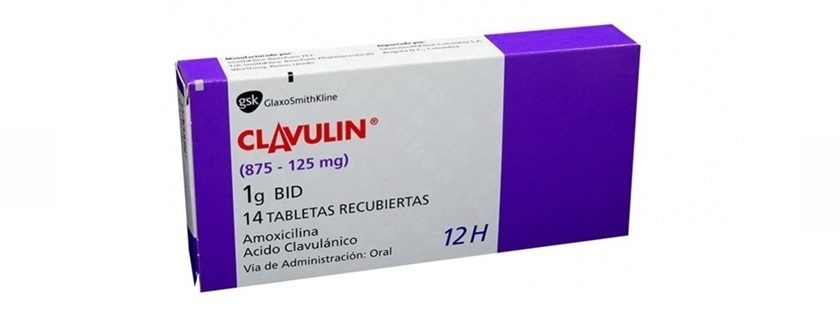 Clavulin: conheça sua bula, posologia, efeitos colaterais e preço
