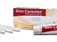 Gino canesten: bula, preço, como tomar e efeitos colaterais