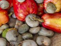 17 incríveis benefícios do caju para a nossa saúde