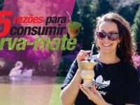 5 incríveis benefícios do chimarrão para a saúde