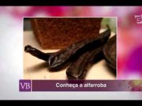 Alfarroba: benefícios dessa alternativa saudável ao chocolate