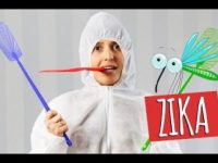 Alimentação para tratar os sintomas do Zika vírus