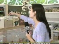 Benefícios da farinha de coco para a saúde