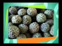 Benefícios da fruta do conde para a saúde