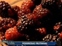 Benefícios das frutas vermelhas