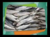 Benefícios das sardinhas para a nossa saúde