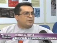 Benefícios do bacuri para a saúde