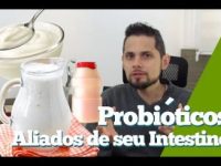 Benefícios dos probióticos para a nossa saúde