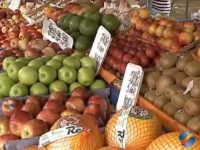 Conheça as calorias dos alimentos e equilibre sua dieta