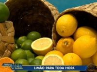 Conheça todos os benefícios do limão