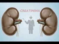 Dicas para cuidar da saúde dos rins e prevenir doenças