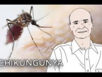 Febre chicungunha: conheça mais sobre essa nova ameaça