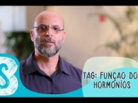 Hormônios: o que são, como agem e efeitos colaterais