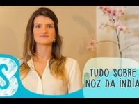 Noz da índia: conheça seus benefícios e efeitos colaterais