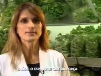 Os grandes benefícios do espinafre para a saúde