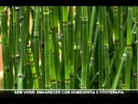 Plantas medicinais para emagrecer naturalmente