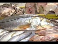 Por que comer peixe? Veja os incríveis benefícios desse alimento