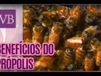 Própolis: benefícios desse super alimento para a saúde