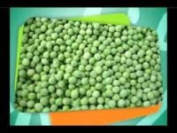 Propriedades e benefícios da ervilha para nossa saúde