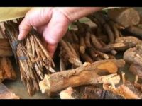 Raízes e ervas que curam