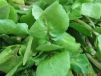 Remedio para sinusite: receita caseira para um tratamento natural