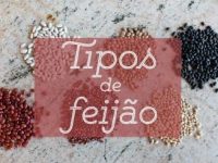 Tipos de feijão e seus benefícios à saúde
